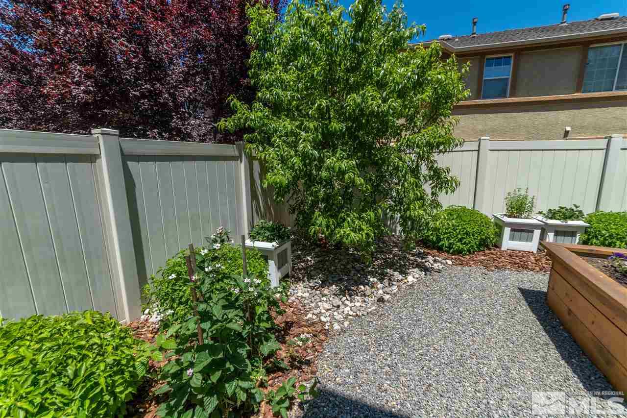 1875 Stetson Drive Reno, NV 89521 - Photo 25 of 27 a backyard of a house with plants and tree