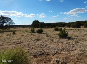 23 Co Road Concho, AZ 85924 - Photo 4 of 5 20230127210050403910000000