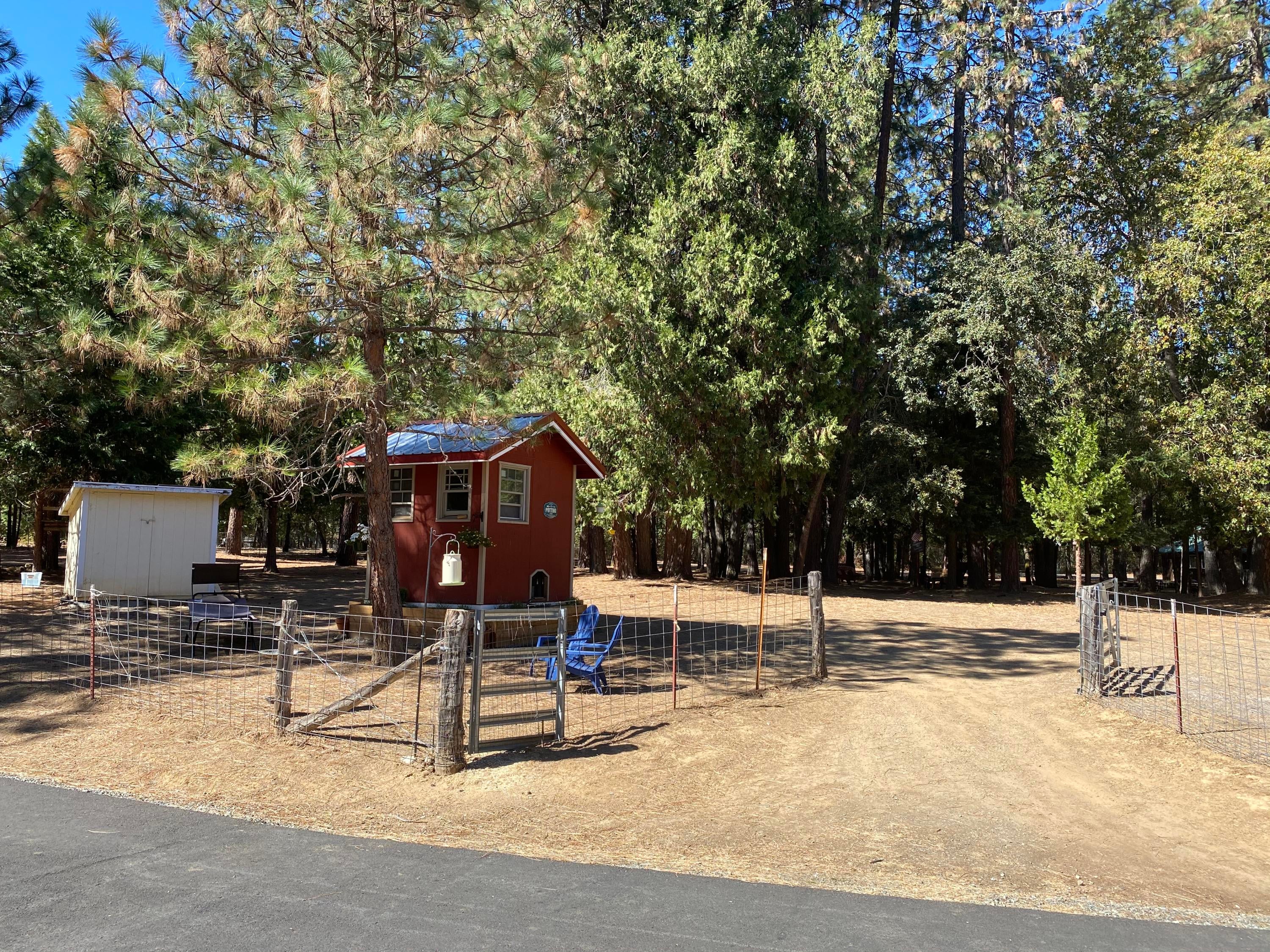 2510 Cedar Flat Road Williams, OR 97544 - Photo 39 of 55 IMG_3226