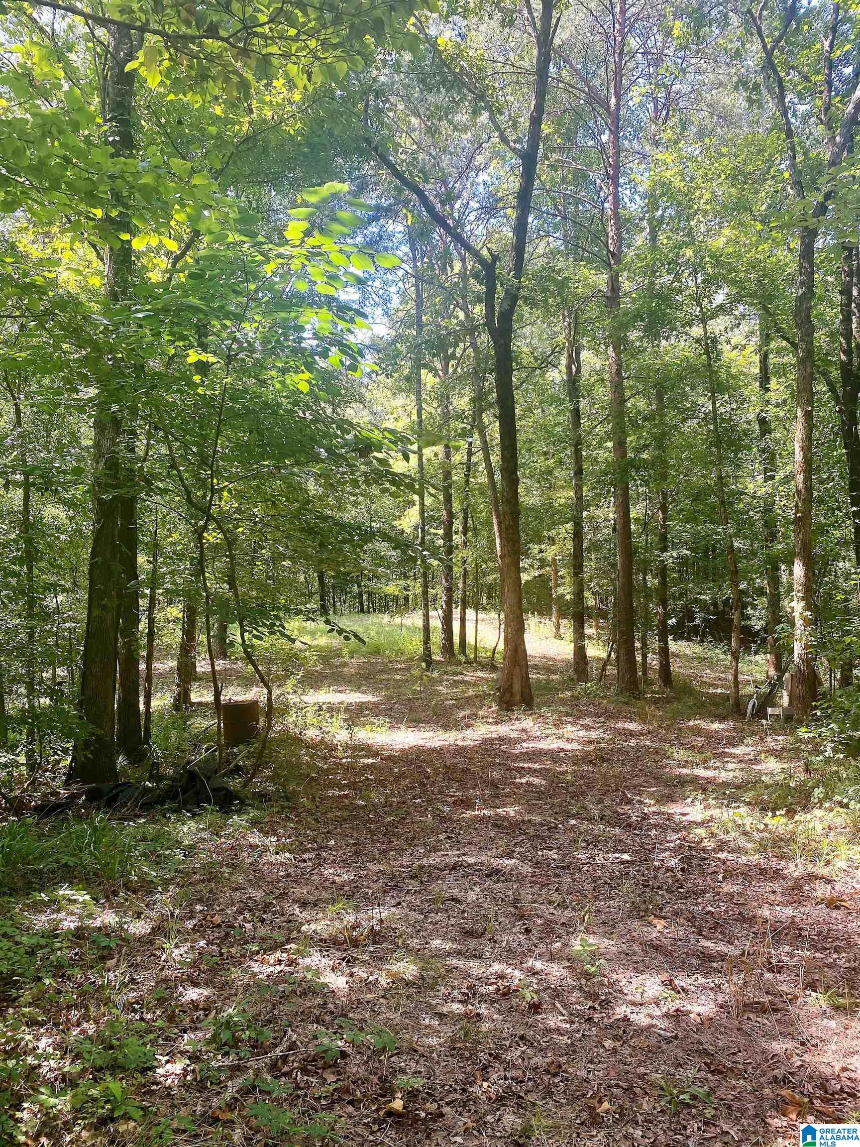 8302 Posey Road Morris, AL 35116 - Photo 26 of 30 Gallery Image 26