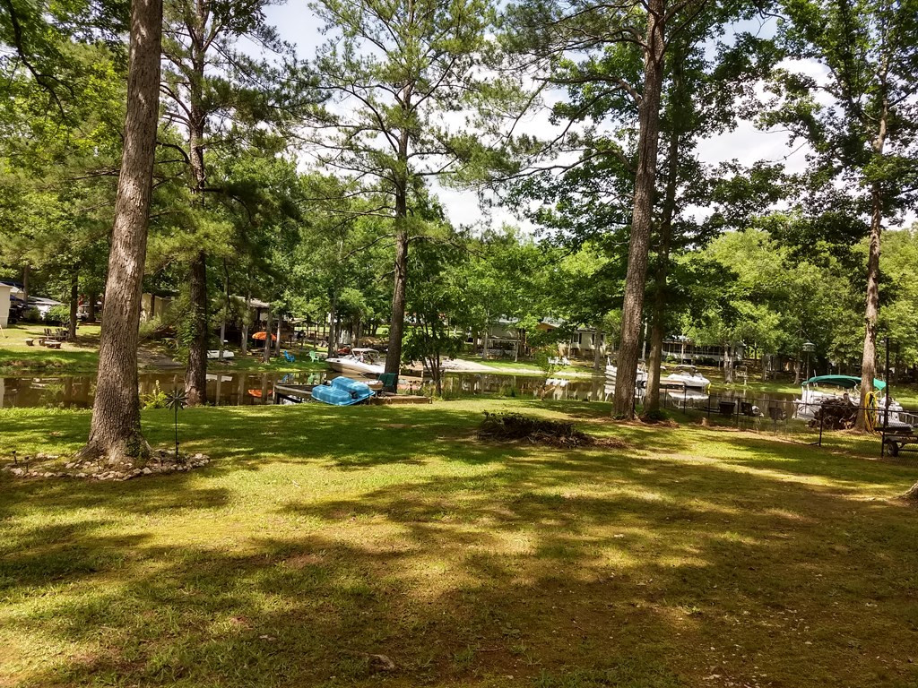 136 Redbud Lane Saluda, SC 29138 - Photo 15 of 17 a view of a yard with a trees