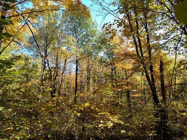 W4028 Clausen Road Prentice, WI 54556 - Photo 11 of 20 Gallery Image 11