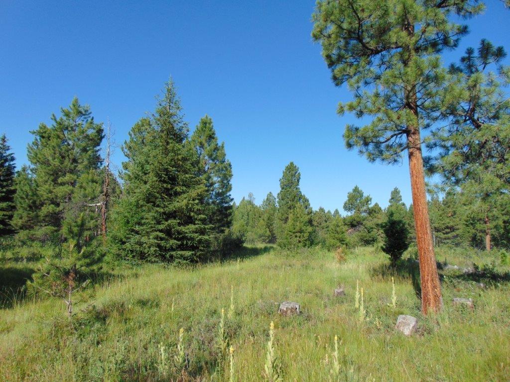 4615 Abe Lincoln Road Lincoln, MT 59639 - Photo 24 of 92 Gallery Image 24