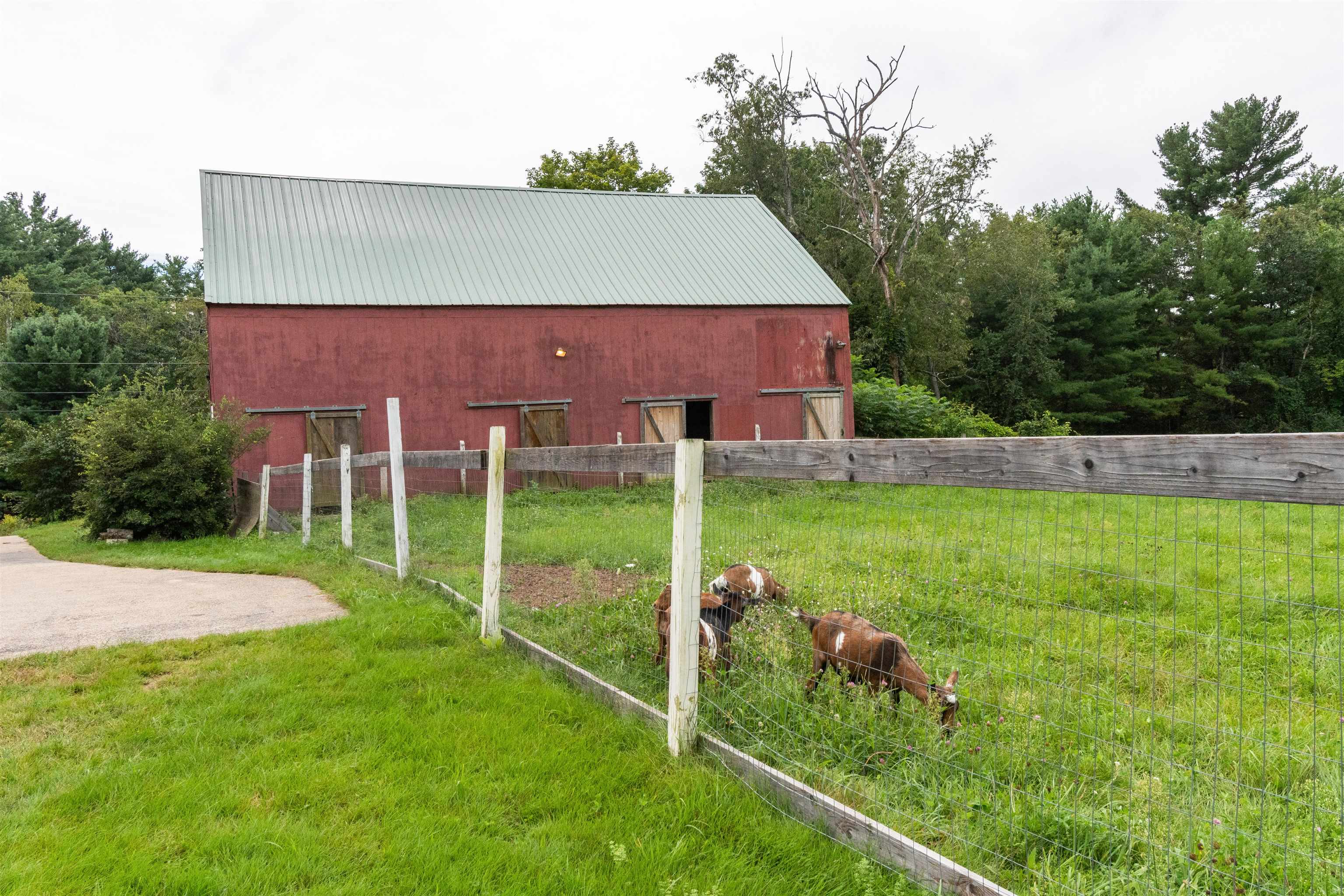 36 Curtis Farm Road Wilton, NH 03086 - Photo 9 of 37