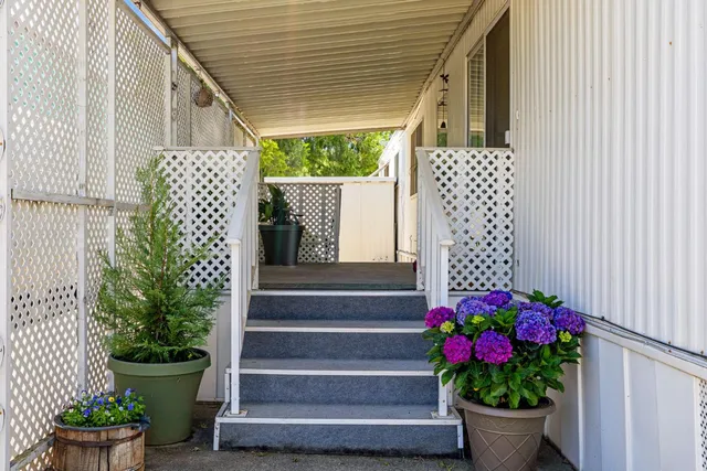 a view of small house with potted plants