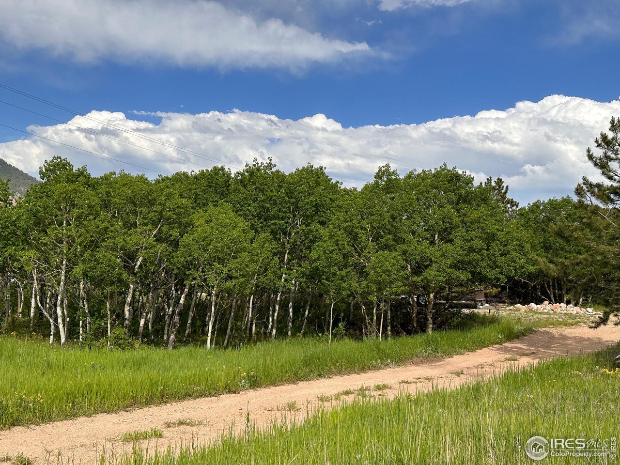 16950 Highway 7 Lyons, CO 80540 - Photo 3 of 9 a view of a city with lush green forest