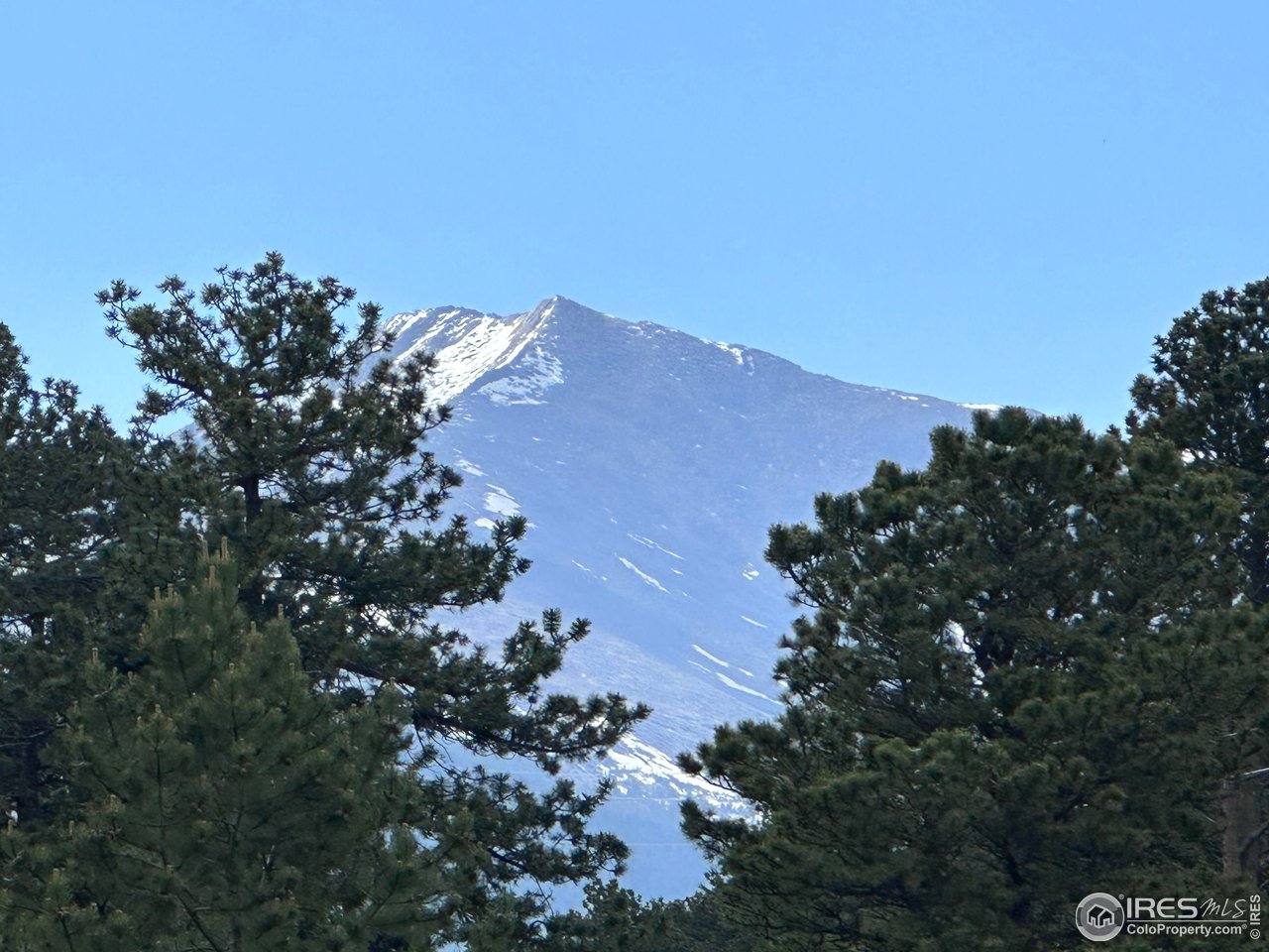 16950 Highway 7 Lyons, CO 80540 - Photo 4 of 9 a view of a tree in a field with a tree in a field
