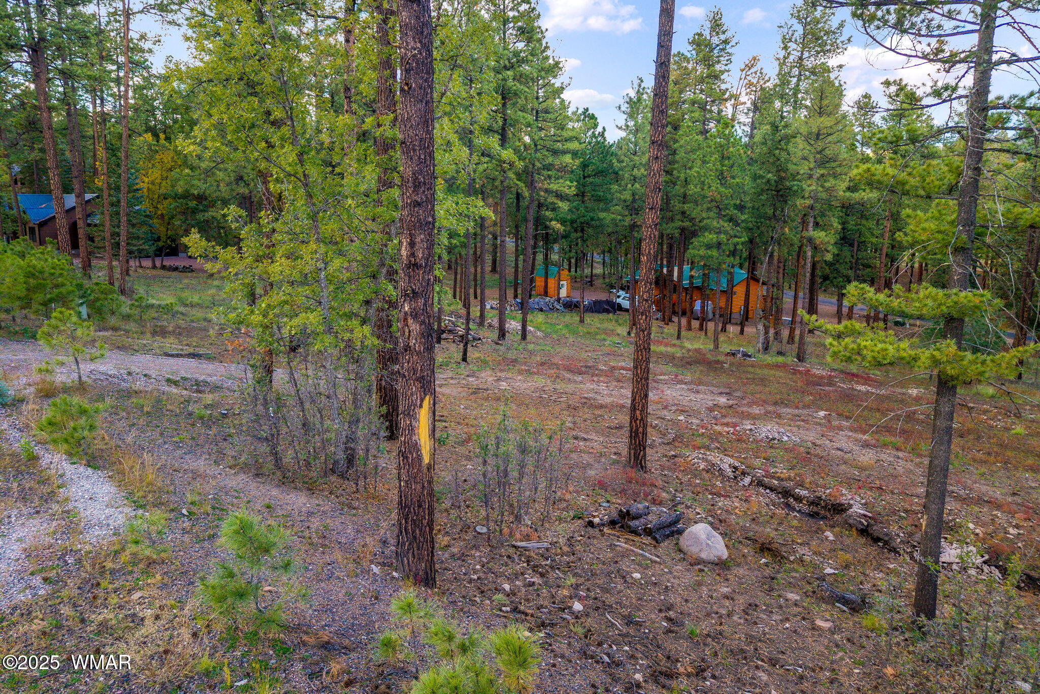 7 Eric Lane Alpine, AZ 85920 - Photo 5 of 17