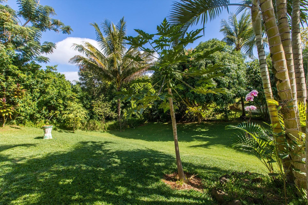 3697 Albert Road Princeville, HI 96722 - Photo 17 of 25 Gallery Image 17