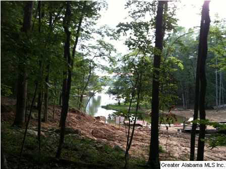 Mohawk Trail, Unit 36 Ohatchee, AL 36271 - Photo 16 of 24