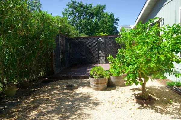 a view of a garden with plants