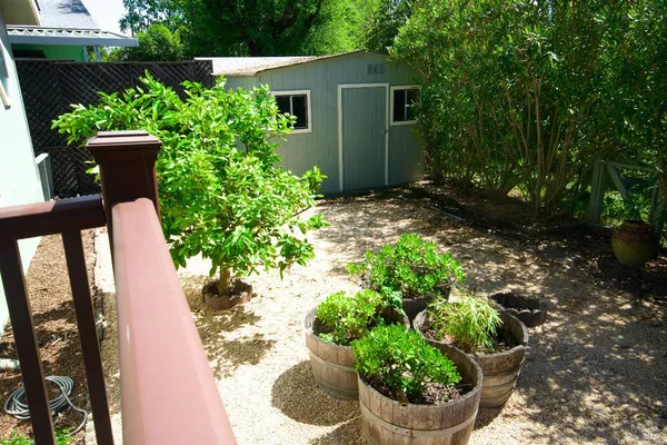 a view of a backyard with potted plants