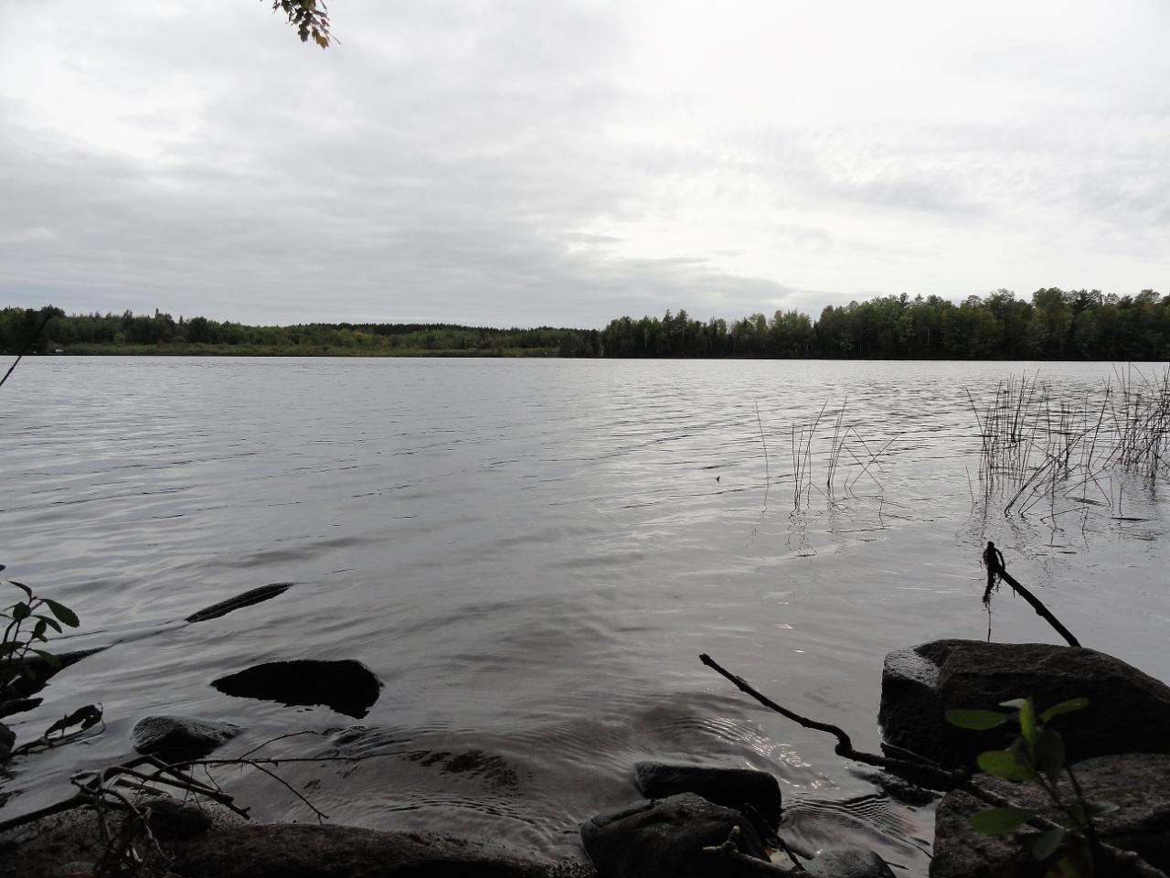 Lot 4 Forrester Road Tomahawk, WI 54487 - Photo 1 of 15 Gallery Image 1