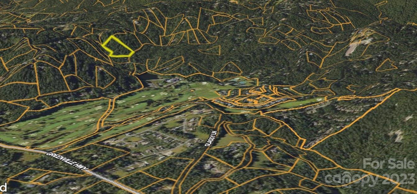 0 Kenmure Drive Flat Rock, NC 28731 - Photo 4 of 6