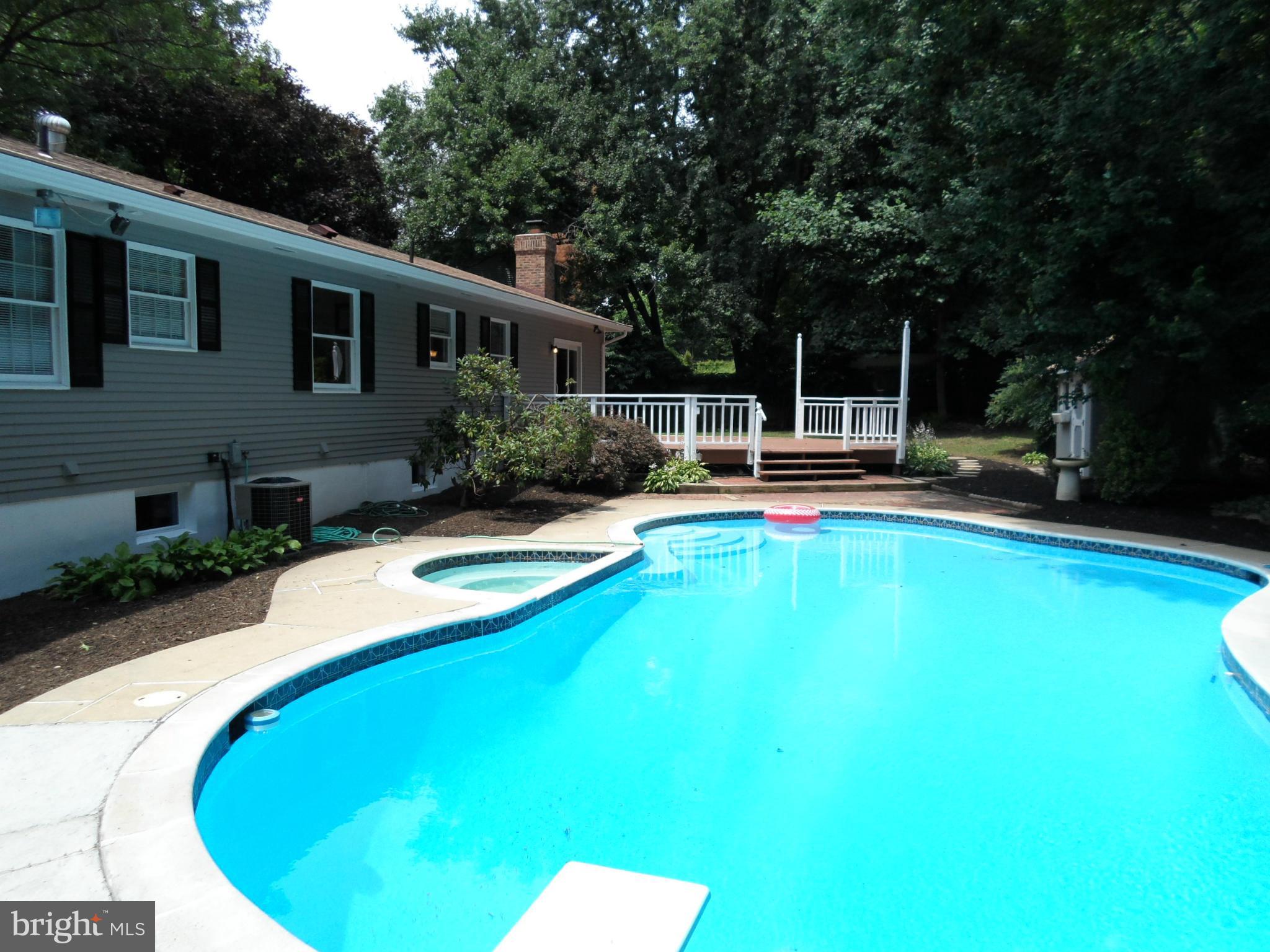 313 Soapstone Lane Silver Spring, MD 20905 - Photo 11 of 30 Custom In-ground pool