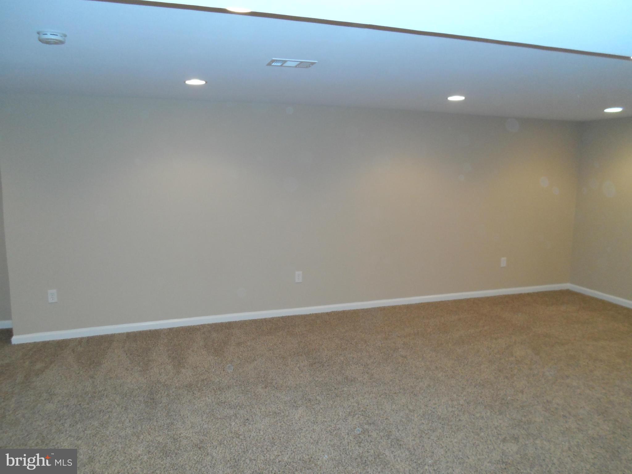 313 Soapstone Lane Silver Spring, MD 20905 - Photo 24 of 30 Lower Level - Recreation Room