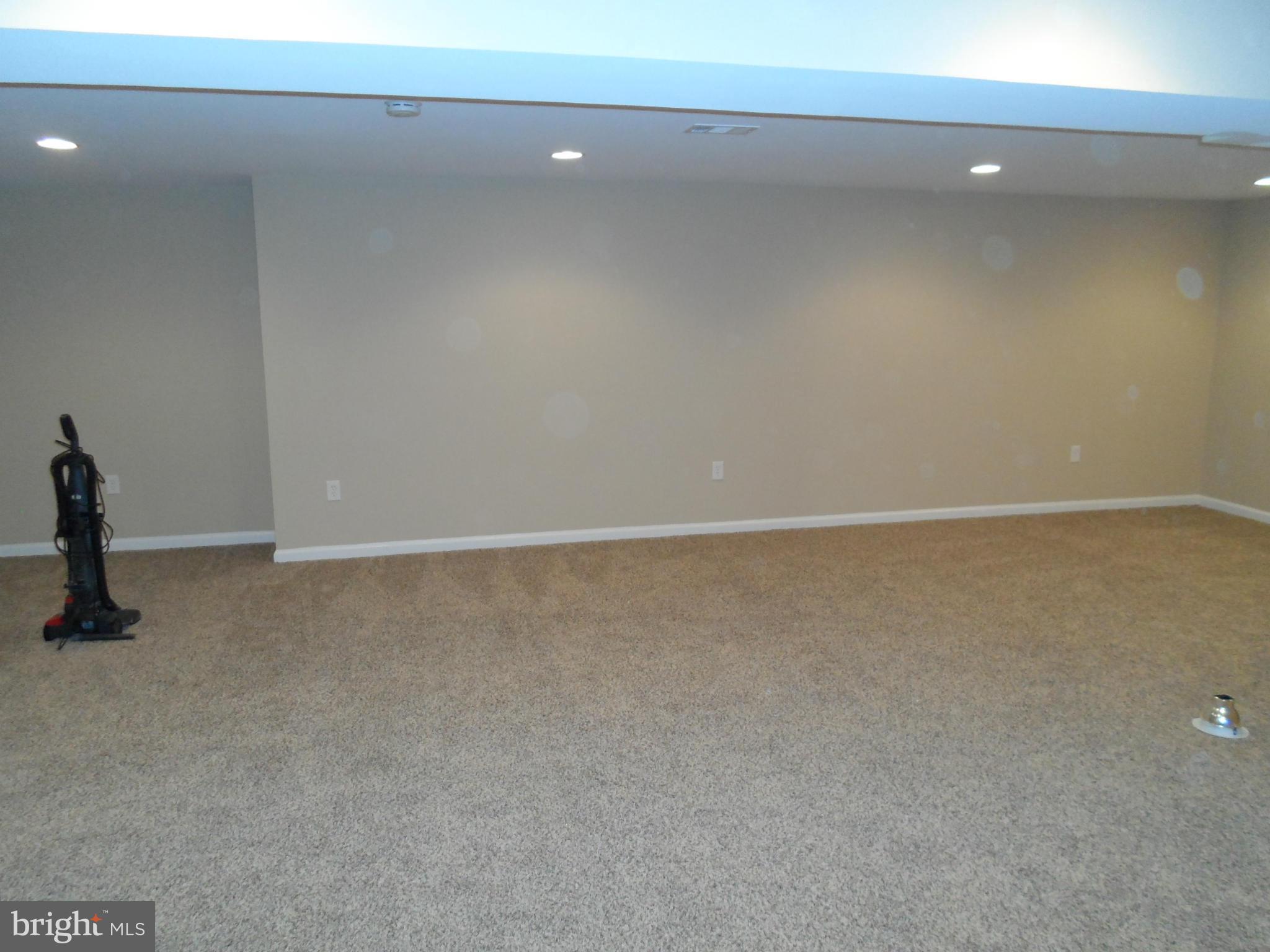 313 Soapstone Lane Silver Spring, MD 20905 - Photo 26 of 30 Recreation Room