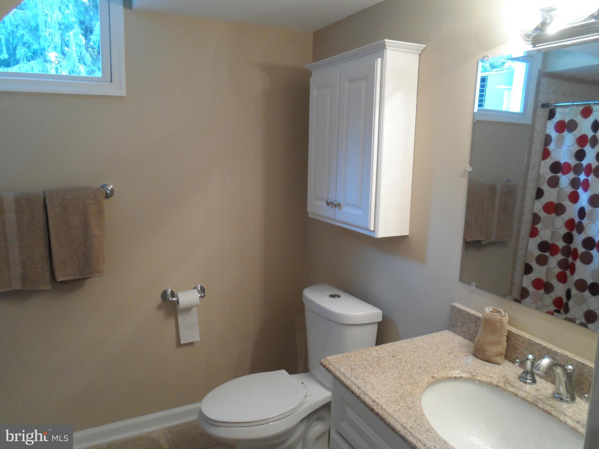 313 Soapstone Lane Silver Spring, MD 20905 - Photo 27 of 30 Bath