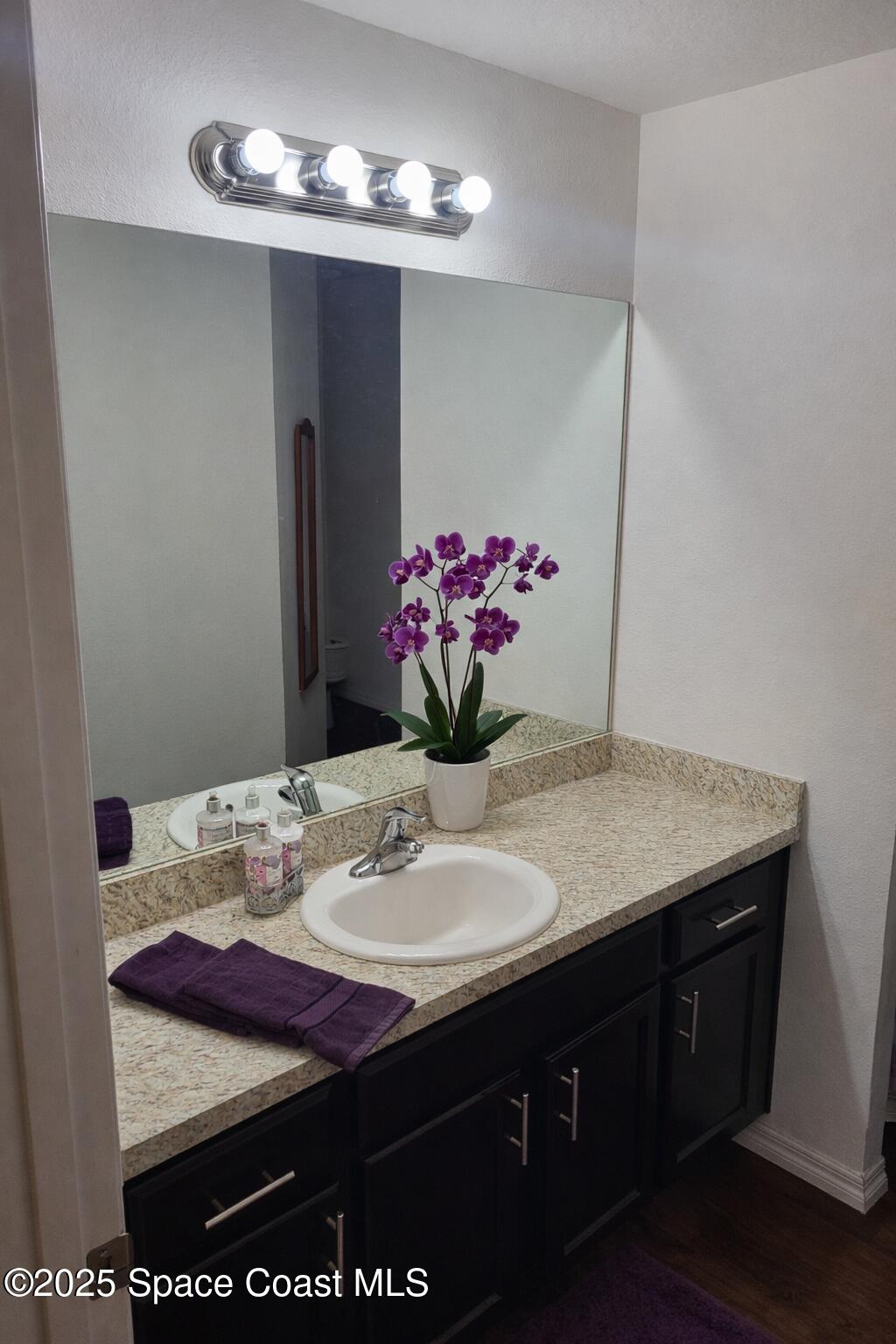 645 Chicago Way Dundee, FL 33838 - Photo 15 of 25 a bathroom with a sink and a mirror