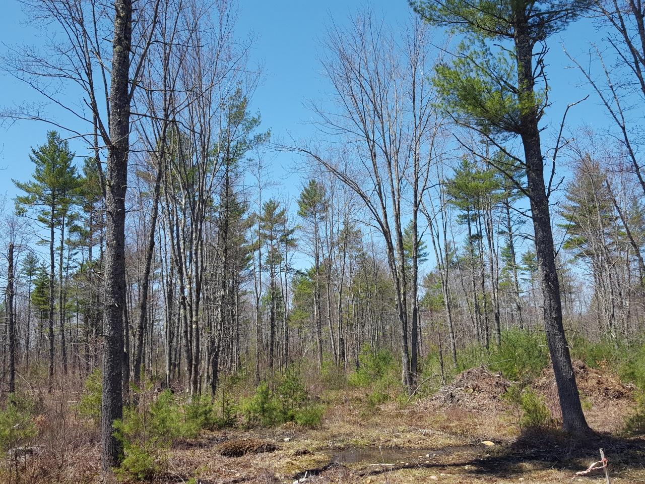 Lot 14-7 Beech Ridge Road North Berwick, ME 03906 - Photo 7 of 10 20190429_121321 (1280x960)