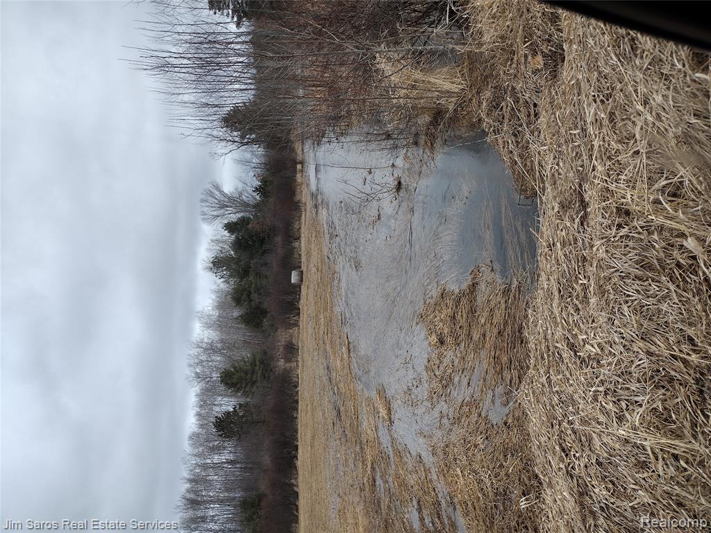 4771 East County Line Road South Branch, MI 48761 - Photo 12 of 13