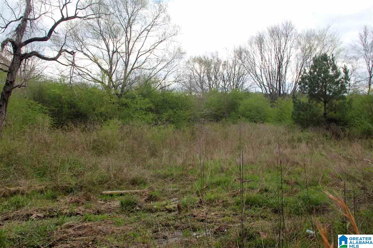 464 Old Georgia Circle Alpine, AL 35014 - Photo 3 of 11