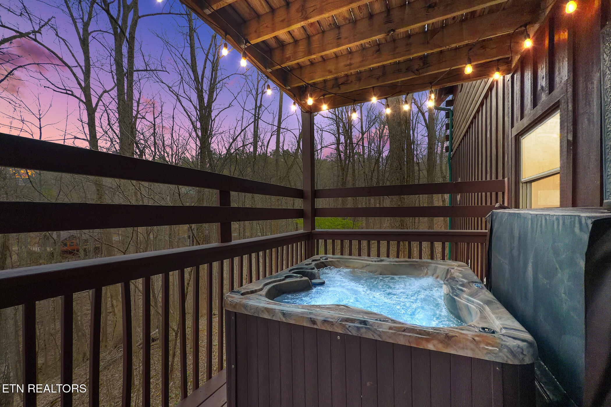 3175 Emerald Springs Loop Sevierville, TN 37862 - Photo 3 of 50 img_8558_vt