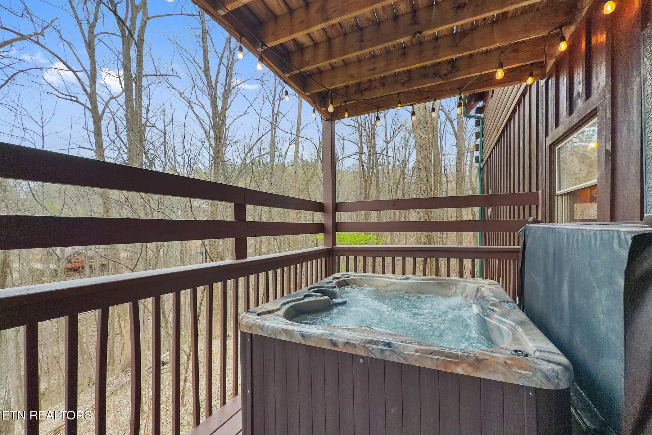 3175 Emerald Springs Loop Sevierville, TN 37862 - Photo 33 of 50 img_8558