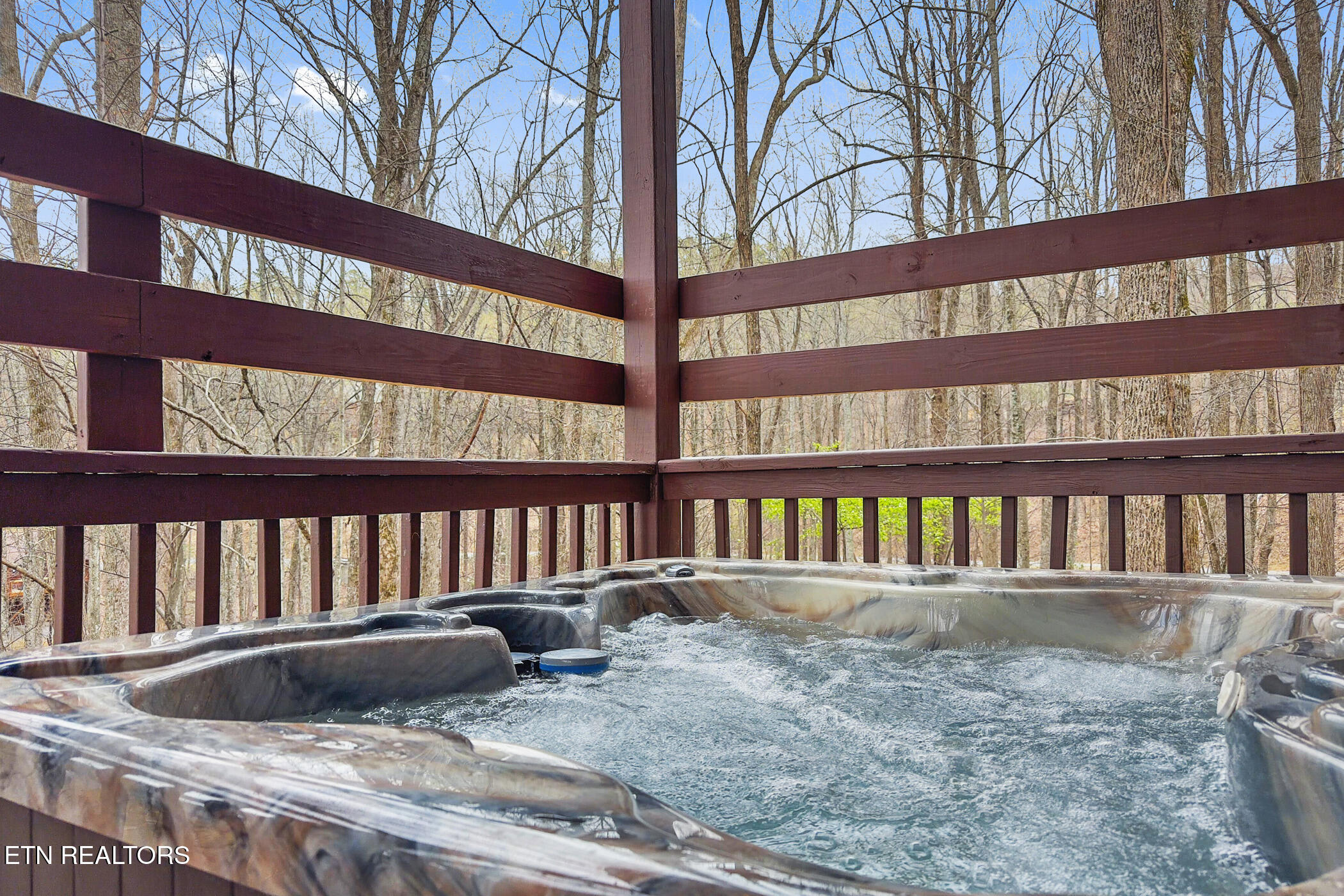 3175 Emerald Springs Loop Sevierville, TN 37862 - Photo 34 of 50 img_8563