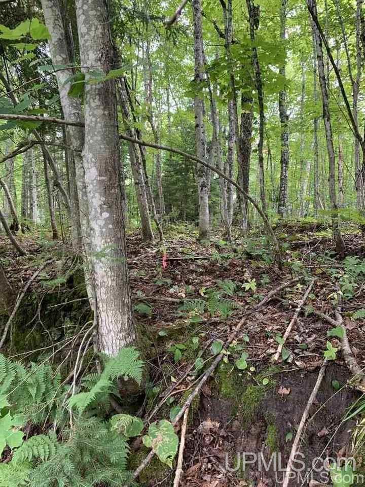 Lot 1 Bayview Road Lanse, MI 49946 - Photo 7 of 27