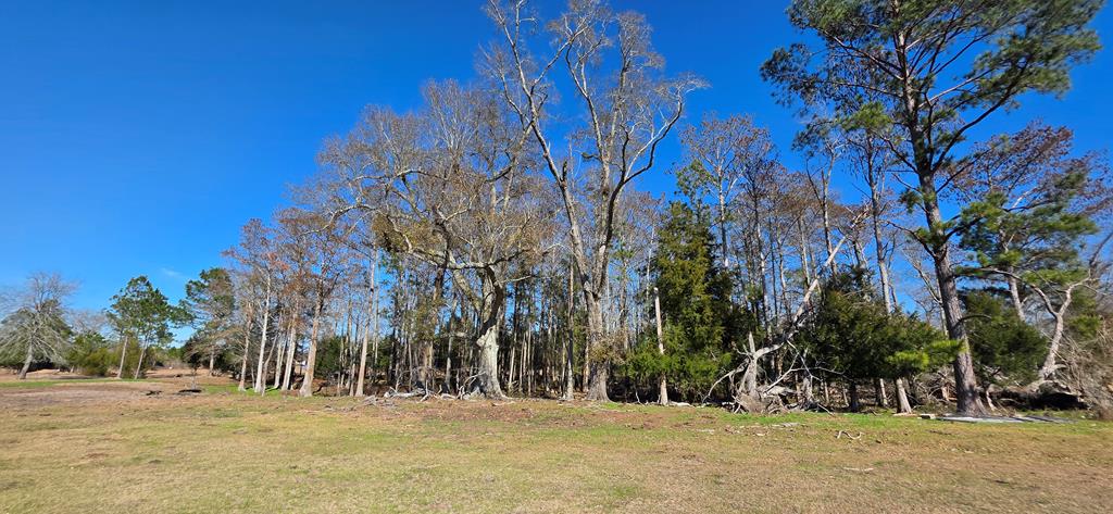 12.7-acres Nobles Road Dothan, AL 36301 - Photo 36 of 41