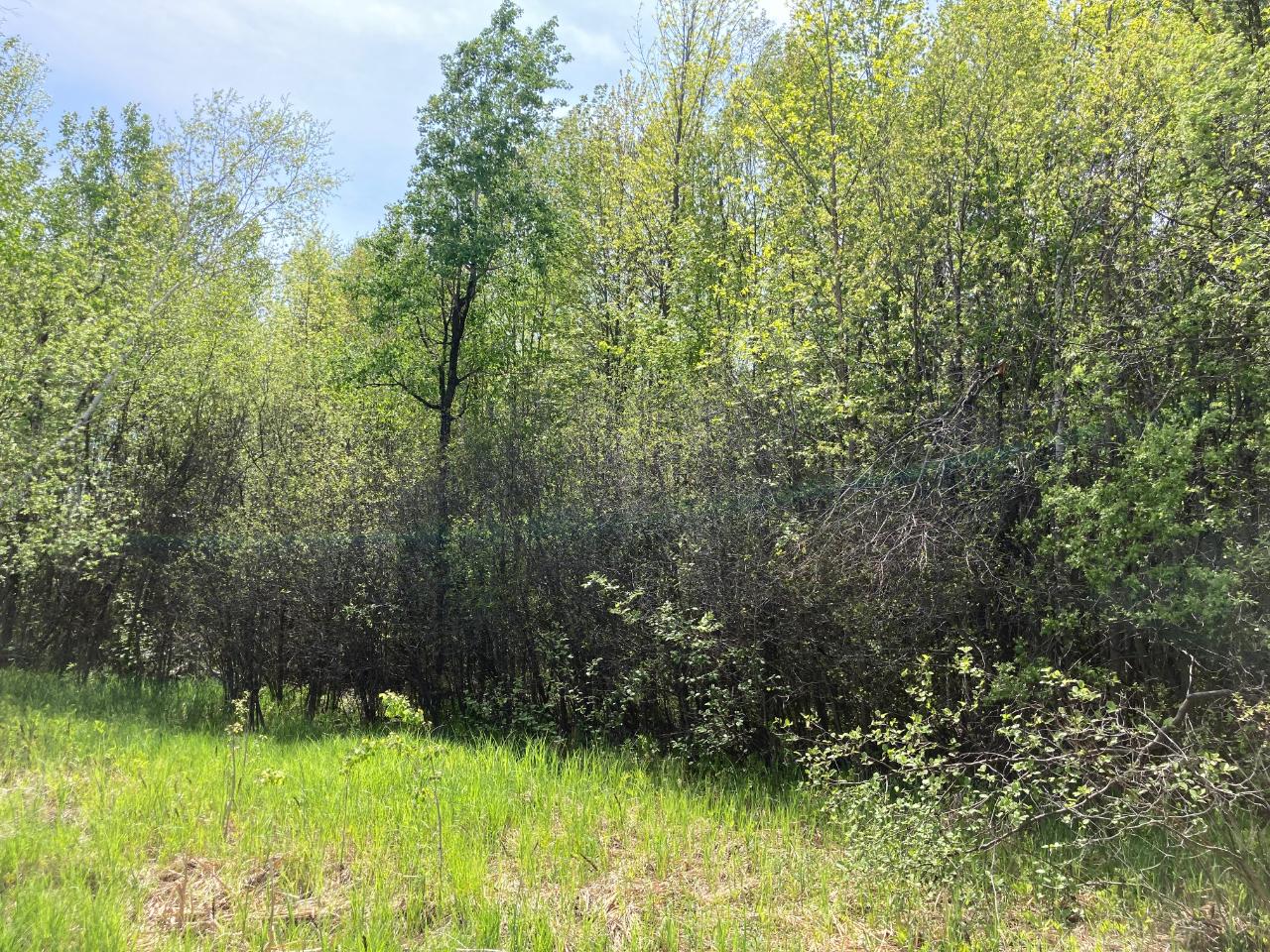 On Hale Road Peshtigo, WI 54157 - Photo 9 of 10 Gallery Image 9