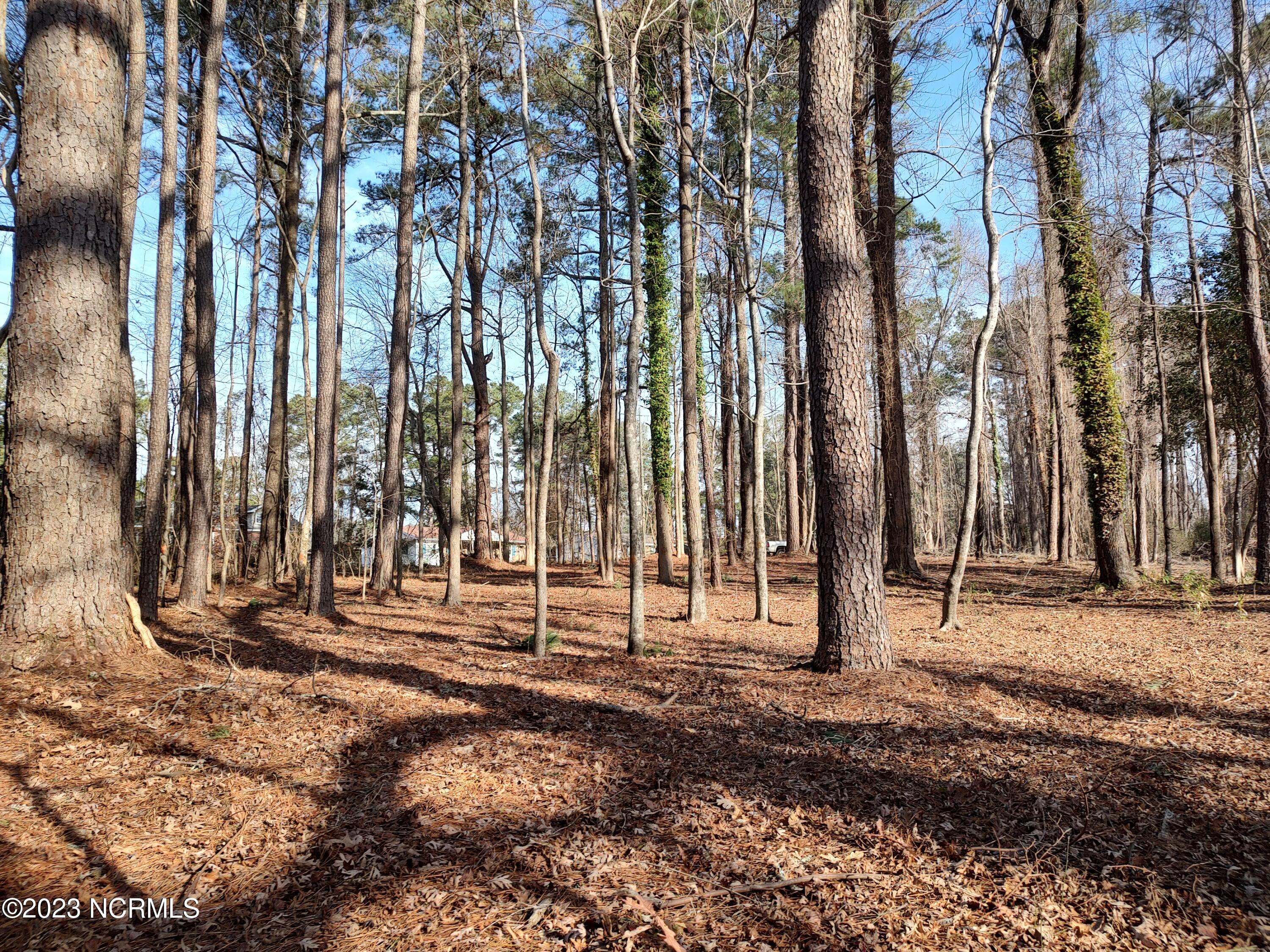 3 Slatestone Road Washington, NC 27889 - Photo 6 of 7 IMG_20230103_103342932_HDR