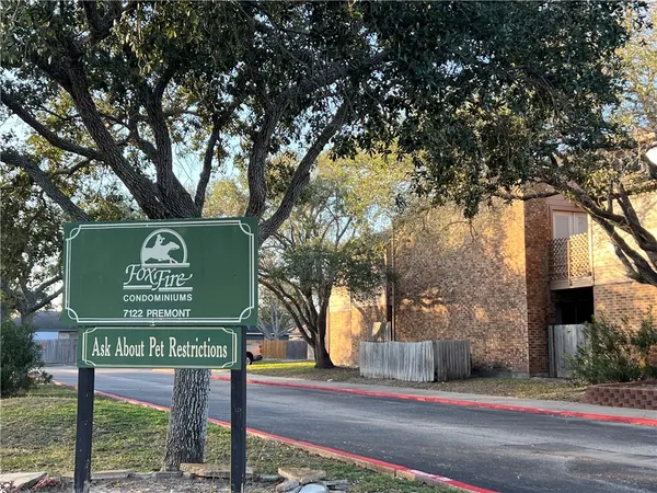a view of a park with large trees