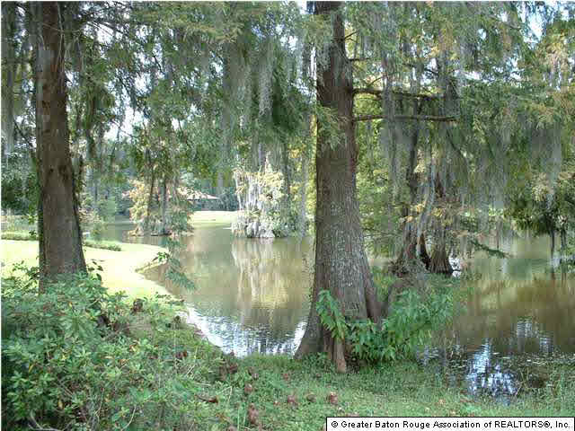 8104 Walden Road Baton Rouge, LA 70808 - Photo 4 of 9 Gallery Image 4