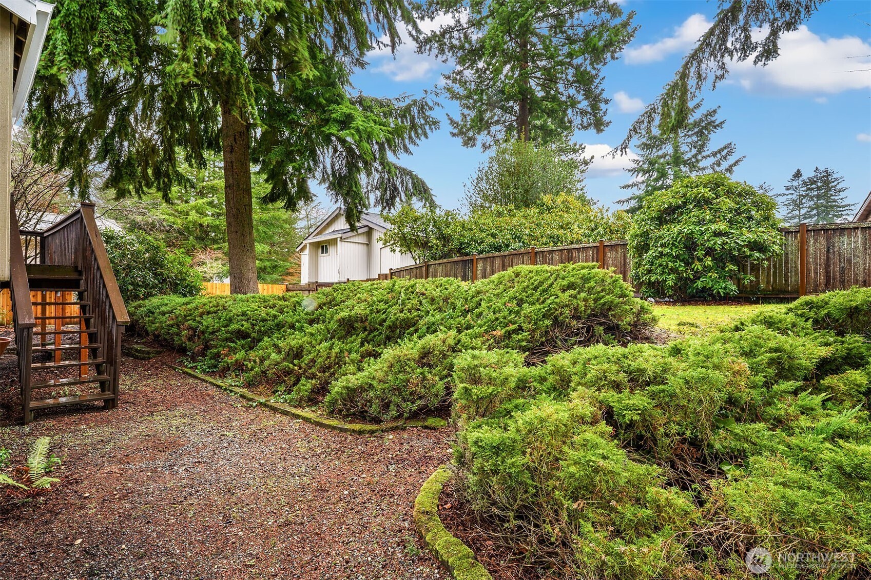 15710 Southeast 46th Way Bellevue, WA 98006 - Photo 33 of 40 a view of a garden with plants
