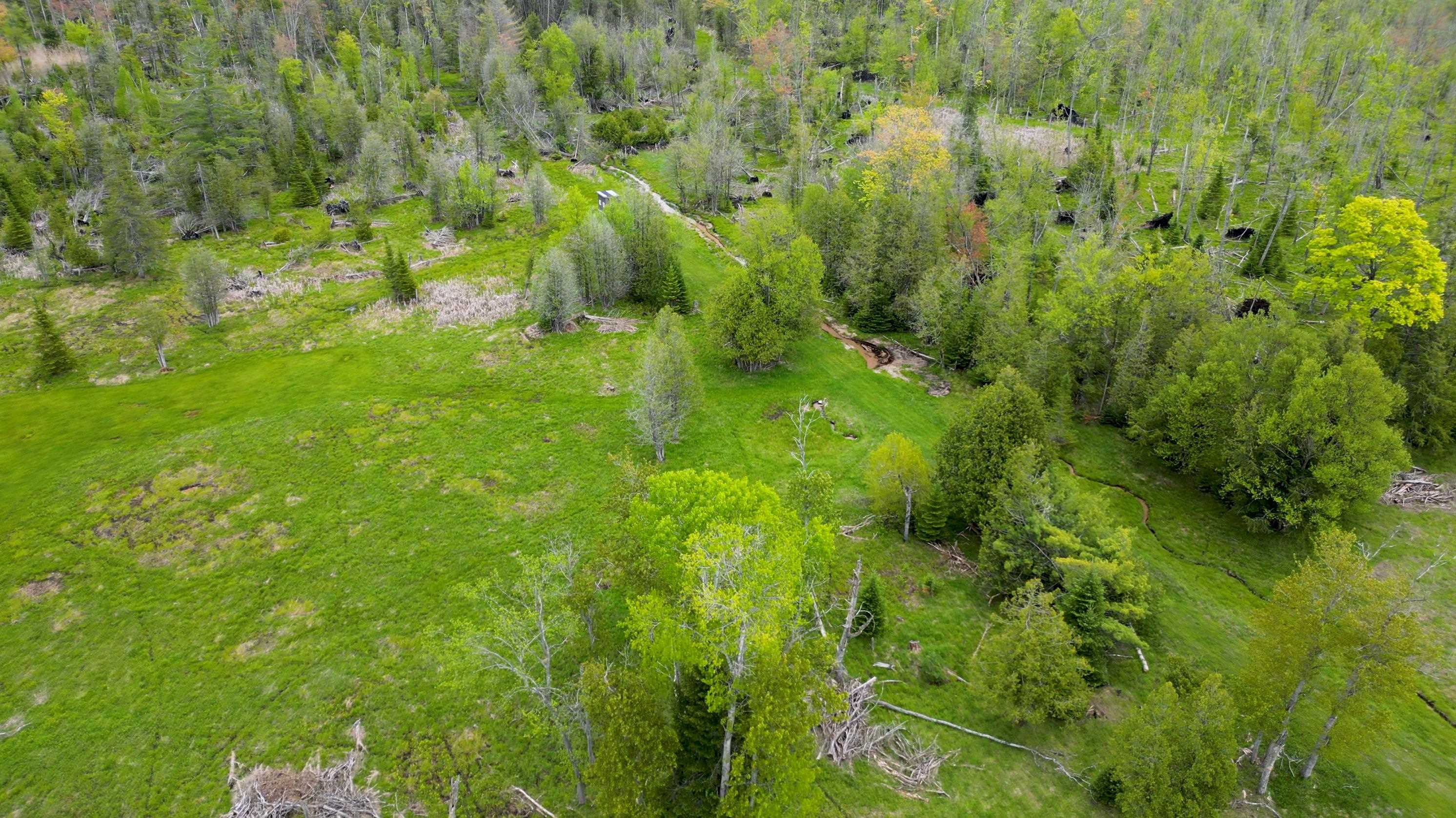 0 South Sullivan Road Cedar, MI 49621 - Photo 25 of 40