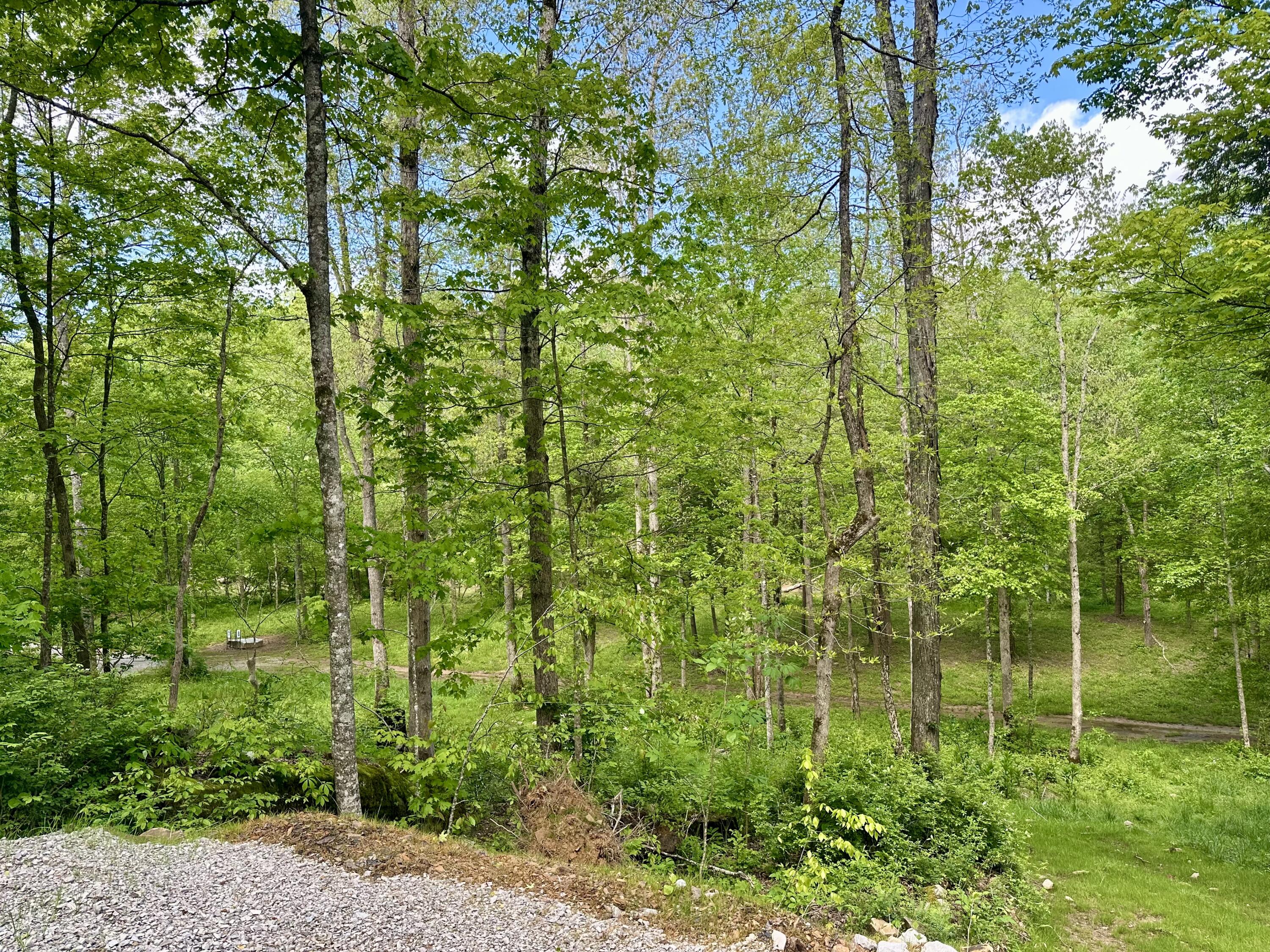 1815 Baldwin Road McKee, KY 40447 - Photo 26 of 68 IMG_0306