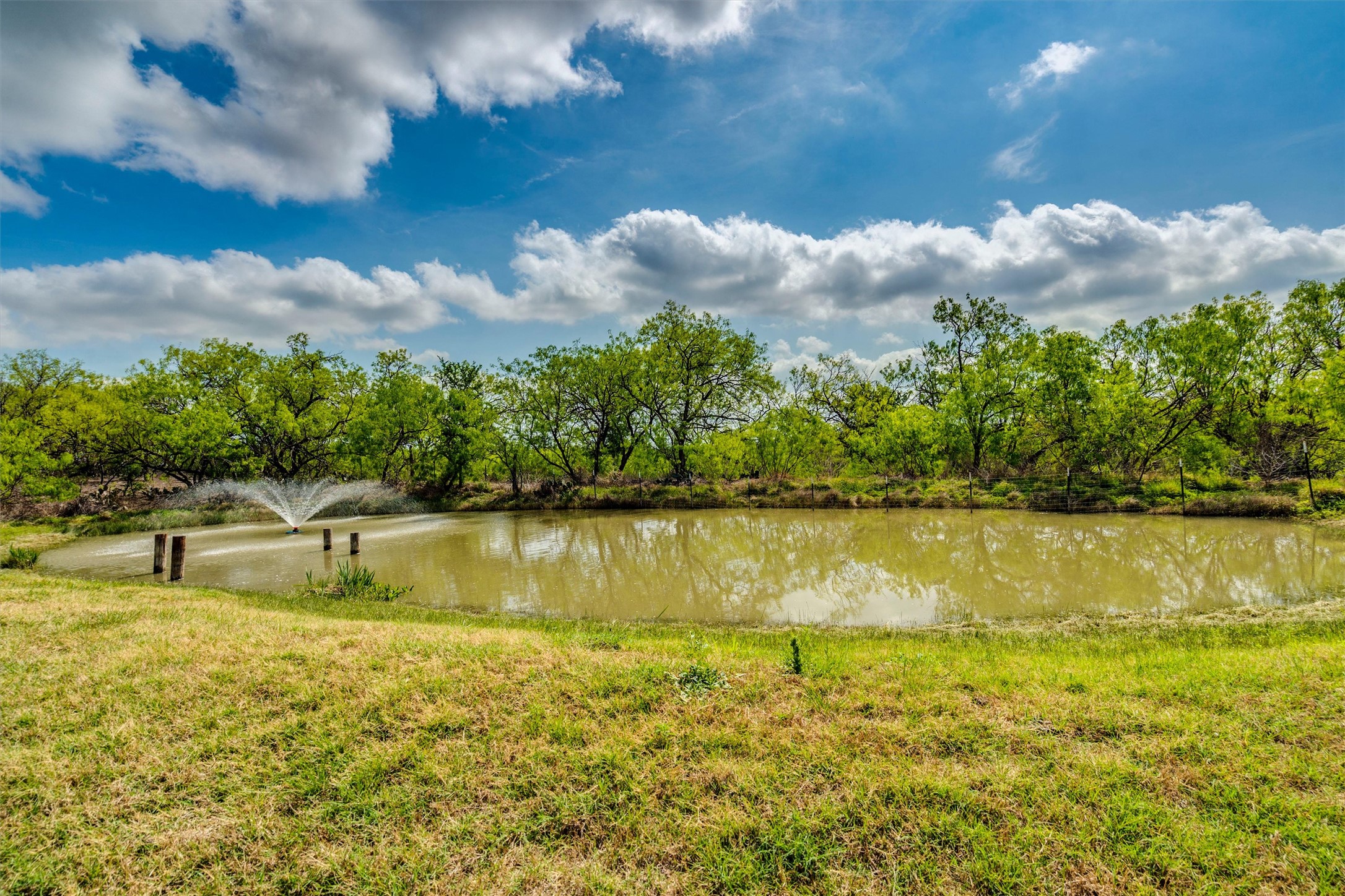 4001 Barth Road Lockhart, TX 78644 - Photo 21 of 28 Gallery Image 21