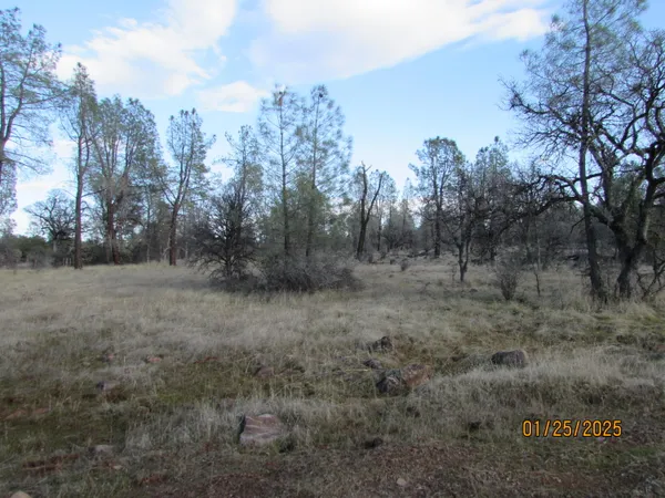 $349,000 | 0 Highway 44, Palo Cedro, CA 96073