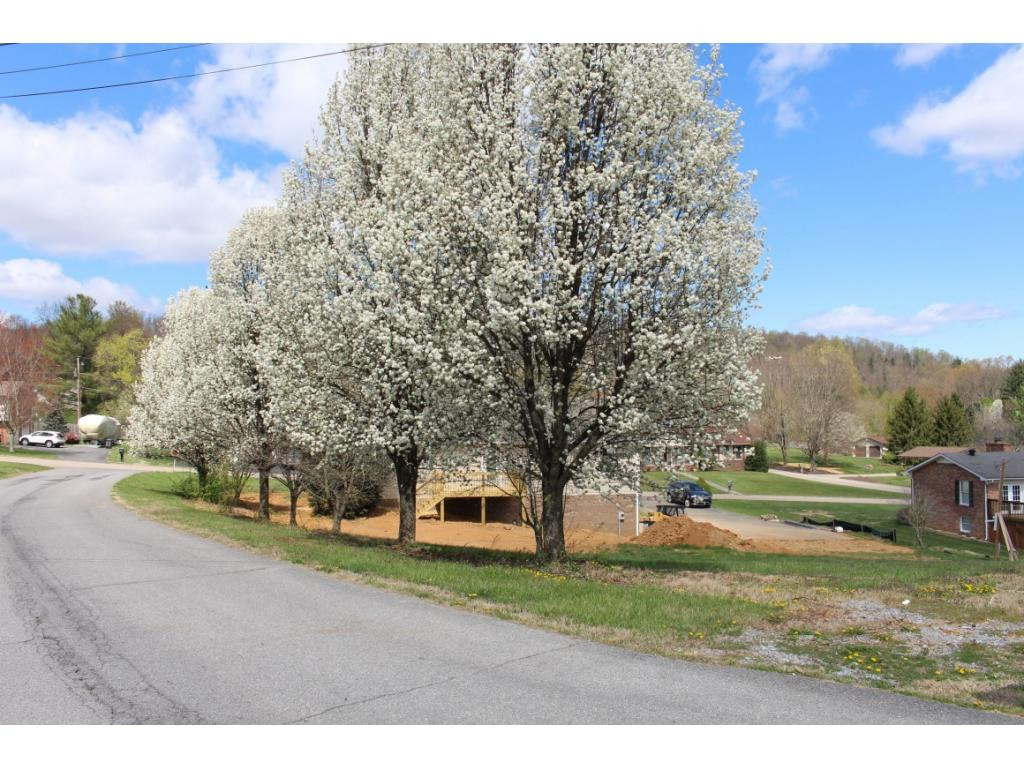 0 Dublin Road Kingsport, TN 37664 - Photo 20 of 22 Photo 20