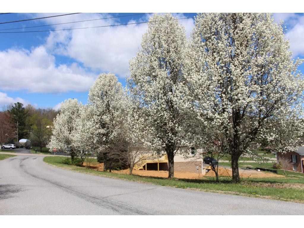 0 Dublin Road Kingsport, TN 37664 - Photo 22 of 22 Photo 22