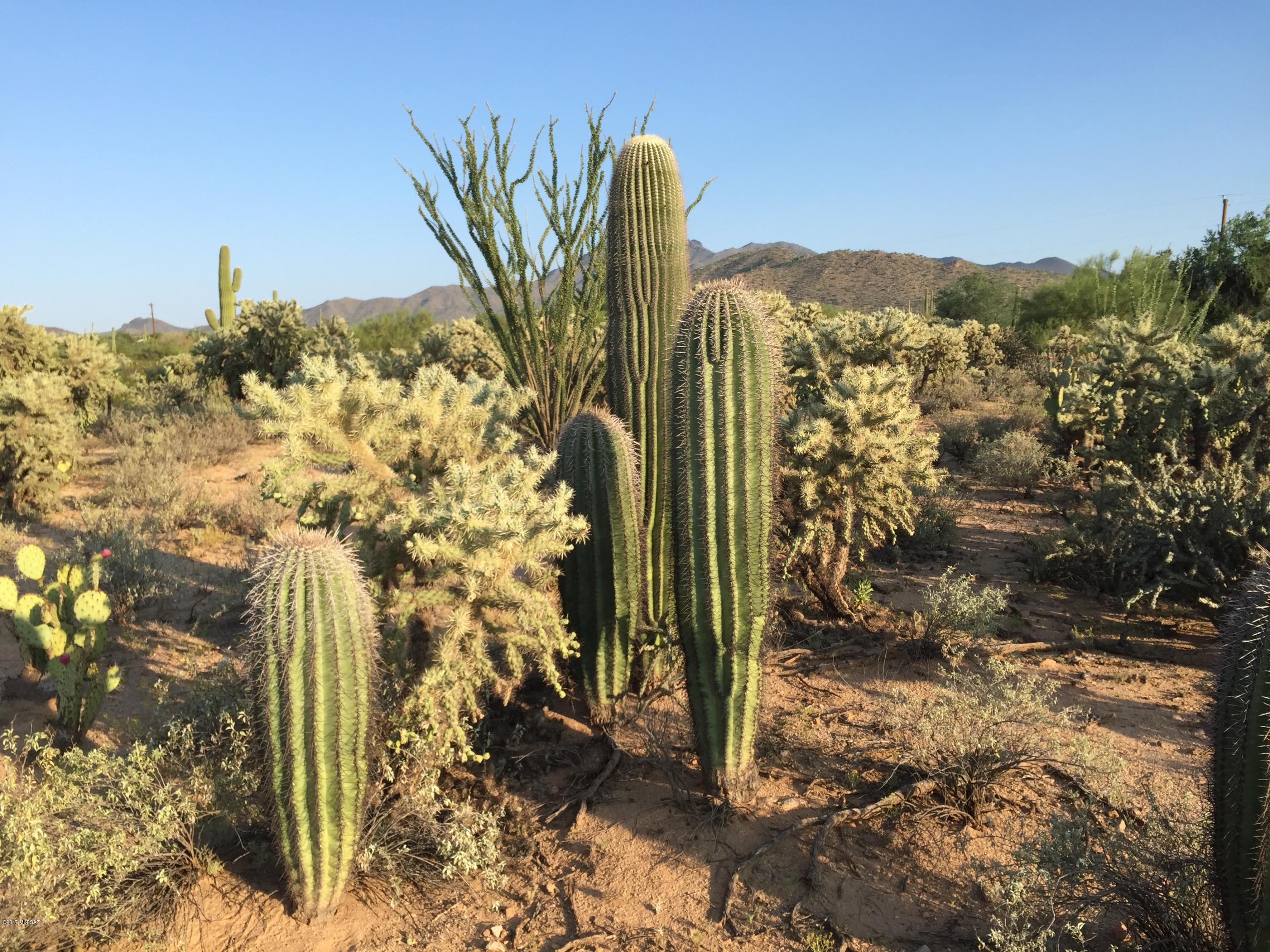 0 West Rudasill Road Tucson, AZ 85743 - Photo 7 of 15 Gallery Image 7