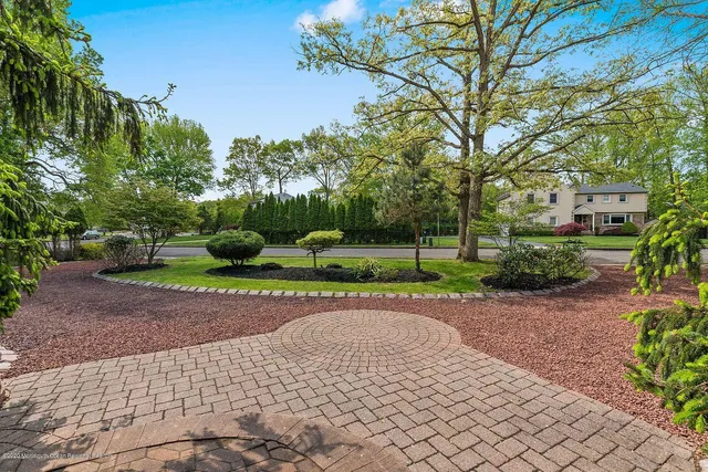 a view of a park with large trees