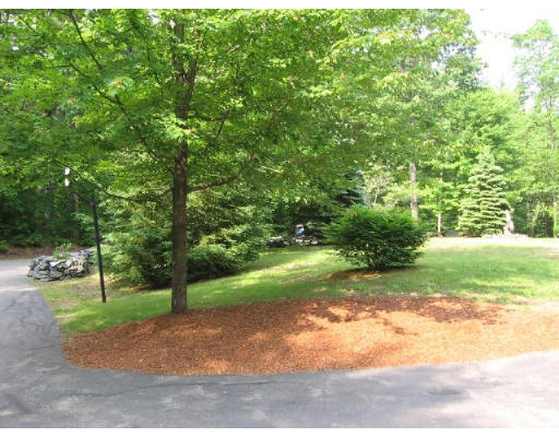 292 Mulpus Road Lunenburg, MA 01462 - Photo 16 of 18 a view of a yard with plants and trees