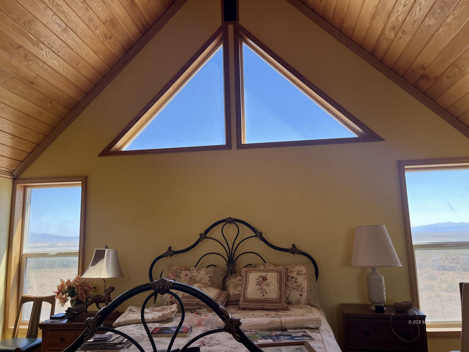 9034 Ruby Valley Road Ruby Valley, NV 89833 - Photo 13 of 28