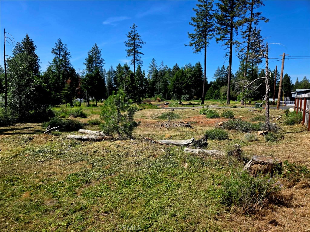 14218 Decatur Drive Magalia, CA 95954 - Photo 1 of 5 a view of a garden with a tree