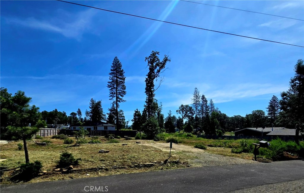 14218 Decatur Drive Magalia, CA 95954 - Photo 4 of 5 a view of a yard with a street