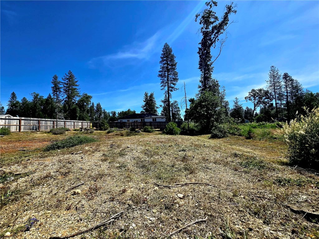 14218 Decatur Drive Magalia, CA 95954 - Photo 5 of 5 a view of dirt yard
