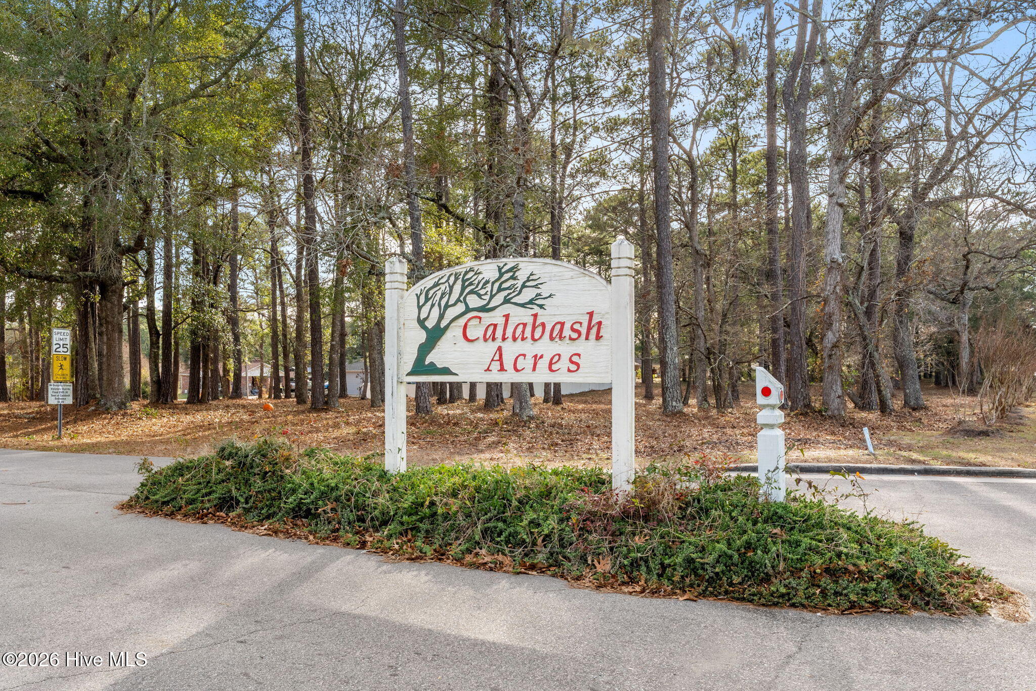 1035 High Point Avenue Southwest Calabash, NC 28467 - Photo 48 of 62 No HOA!